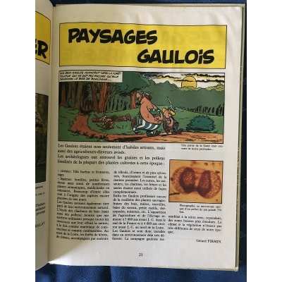 A Gaulish village in the time of Asterix 1985 and its 40 x 60 poster !!!