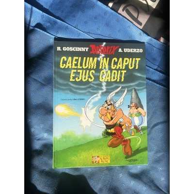 Asterix caelum in caput ejus cadit
