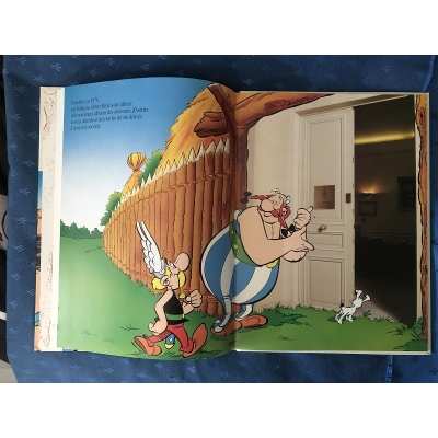 Ultra rare Astérix et compagnie neuf