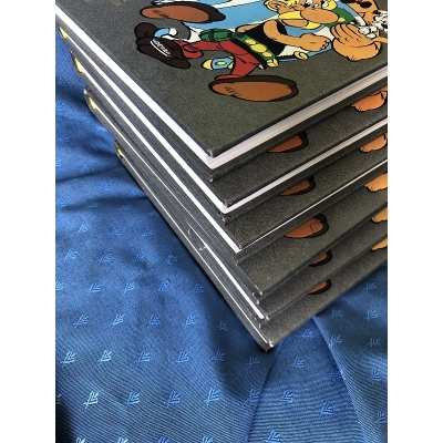Astérix 6 tomes intégrale luxe hachette/Dargaud