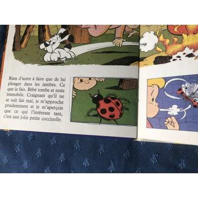 Astérix rare idefix collection complété des 16 albums tous édition Dargaud Astérix rare idefix collection complété des 16 albums tous édition Dargaud