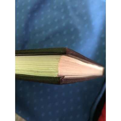 Asterix Rombaldi volume VII volume 7