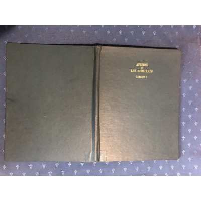 Ultra rare Astérix et les normands spécial bibliothéque anglaise Ultra rare Astérix et les normands spécial bibliothéque anglaise