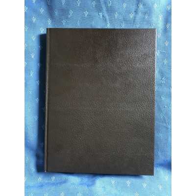 copy of rare Asterix Rombaldi volume 7 as new