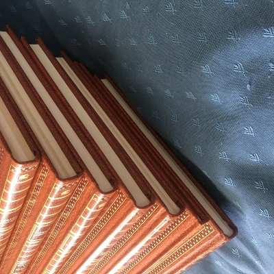 Astérix Ultra rare les 7 volumes tomes intégrales Dargaud 2