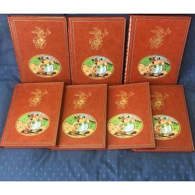Astérix Ultra rare les 7 volumes tomes intégrales Dargaud 2