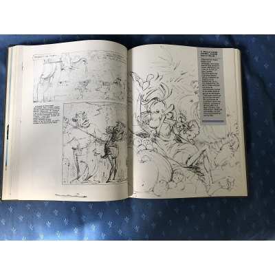 Astérix tome 7 intégrale luxe hachette Dargaud