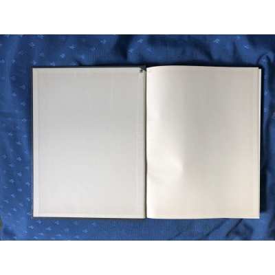 Astérix intégrale luxe Hachette Dargaud tome 7