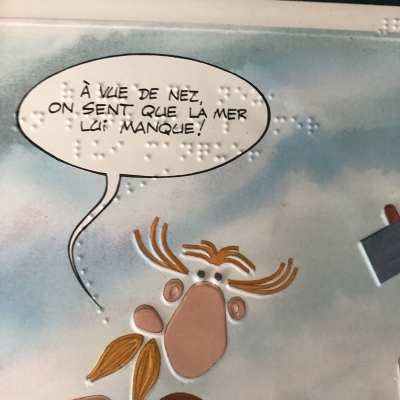 Ultra rare asterix by touchtatis in braille with braille code booklet and 9 thermoformed postcards