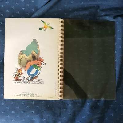 Asterix par touchtatis (2)